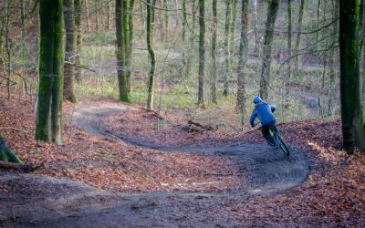 Mountainbiken in Rijk van Nijmegen – wielercafes.nl __mtb-rijkvannijmegen_nl (5) Mountainbiken in Rijk van Nijmegen - wielercafes.nl __mtb-rijkvannijmegen_nl (5)